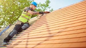 Professional Roofing Services in Des Plaines, IL