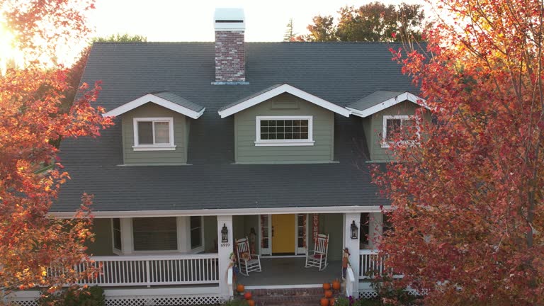 Best Skylight Installation and Repair  in Des Plaines, IL