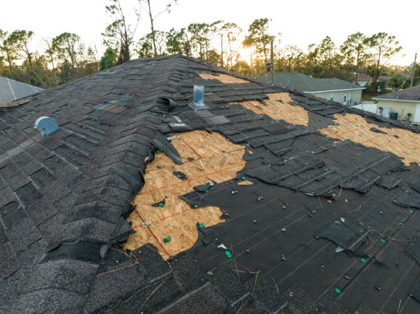 Best Roof Leak Repair  in Des Plaines, IL