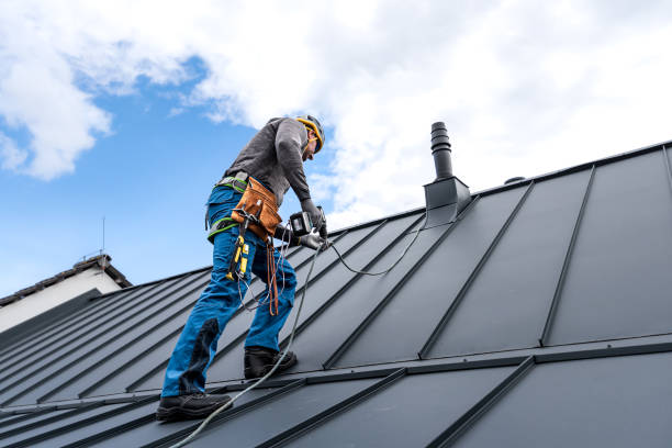 Best 4 Ply Roofing  in Des Plaines, IL