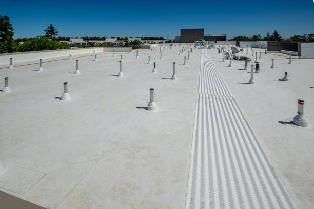 Best Roof Insulation Installation  in Des Plaines, IL